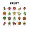 fruit character funny food icons set vector