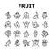 fruit character funny food icons set vector