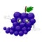 Fruit characters. Smiling cute kawaii blue with purple grape Cartoon Character shows a hand on something . Vector