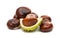 fruit chestnut