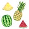 Fruit clipart set. Pineapple and watermelon, watercolor illustration
