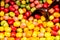 Fruit colorful gumballs candies background with the scoop