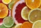 Fruit composition. Round colored slices of citrus. Green lime, yellow lemon, orange orange and red grapefruit sliced lie on the