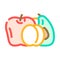 fruit department color icon vector illustration