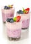 Fruit dessert with berries served in glass (berry cheesecake wit