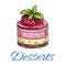 Fruit dessert or berry cake with raspberry sketch