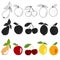 Fruit drawn icons vector set. Illustration of colored and monochrome fruits,  colored page