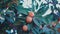 Fruit ellipsoid berry of Manilkara zapota, sapodilla,Sapodilla plant with fresh fruit, selective focus without noise