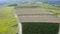 Fruit field and vineyards , drone view.