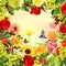 Fruit and flowers decorative frame background