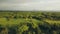 Fruit garden and agricultural field from above flying drone. Mango garden and vegetable field in asian village. Aerial