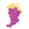 Fruit Grape isolated illustration
