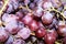 Fruit grapes/grape purple color image