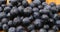 Fruit health fresh natural berries / berry