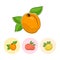 Fruit Icons, Apricot, Peach, Melon