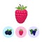Fruit Icons, Raspberries ,Blueberries, Grapes