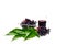 Fruit juice elderberry