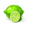 Fruit lime Vector illustration hand drawn