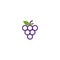 Fruit logo, Grape logo, purple grape with single leaf,