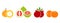 Fruit logo. Isolated fruit on white background