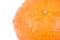 Fruit mandarine closeup