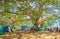 The fruit market in banyan garden, Pindaya, Myanmar