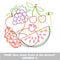 Fruit mishmash colorful set in vector.