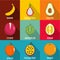 Fruit nutrition icons set, flat style