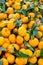Fruit orange closeup
