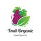 Fruit Organic Purple logo, icon or symbol template design