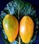 Fruit papayas on natural green leaf background.