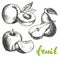 Fruit peach, apple, pear set hand drawn vector illustration sketch