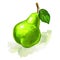Fruit pear Vector illustration hand drawn