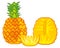 Fruit of the pineapple on white background insulated