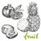Fruit pomegranate, kiwi, pineapple set hand drawn vector illustration sketch