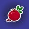 Fruit pomegranate sticker on a pop art background