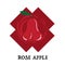 Fruit rose apple graphic element design icon symbol