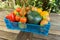 Fruit & Salad selection in a basket.