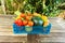 Fruit & Salad selection in a basket.