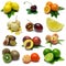 Fruit Sampler