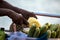 Fruit seller in India. Ripe pineapples, cucumbers, salt spices. Traditional delicacy in india goa state