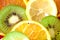 Fruit slices (lemon, kiwi, tangerine, orange)