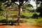 Fruit Stand in Africa