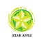 Fruit star apple graphic element design icon symbol