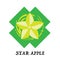 Fruit star apple graphic element design icon symbol