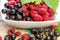 Fruit that is strong antioxidant, healthy eating - blackcurrant, chokeberry aronia and raspberry