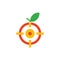 Fruit Target Logo Icon Design