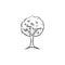Fruit tree hand drawn sketch icon.