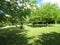 Fruit trees in a meadow