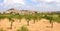 Fruit trees and the town of Calaceite, Teruel province, Aragon,